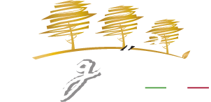 Borgo Sosio - Italian Food